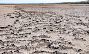 Üst Kuyalnik haliçlerinde kurumuş tuzlu alüvyon, Ukrayna