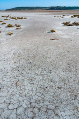 Üst Kuyalnik haliçlerinde kurumuş tuzlu alüvyon, Ukrayna