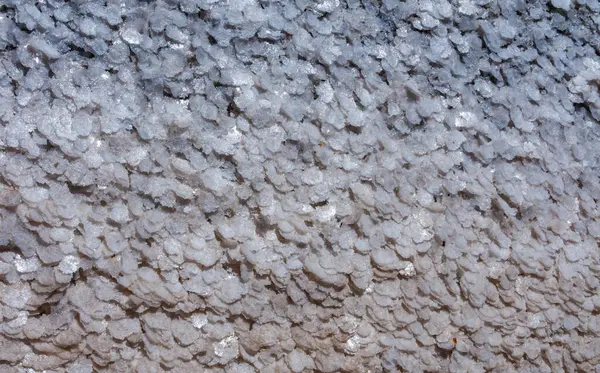 上部のクアラルニツキーエステリーの泥の底に結晶化された塩 クワラルニク エストアリー ウクライナ — ストック写真