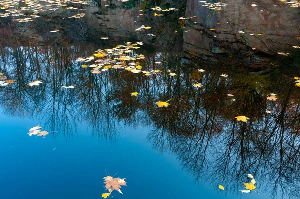 Осень Желтые Листья Качаются Воде Отражения Воде Софиевский Парк Умань — стоковое фото