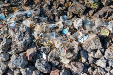 Khadzhibey Estuary kıyısındaki plastik çöp ve mikroplastikler, rezervuarın çevresel sorunu, doğa kirliliği