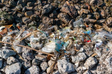 Khadzhibey Estuary kıyısındaki plastik çöp ve mikroplastikler, rezervuarın çevresel sorunu, doğa kirliliği
