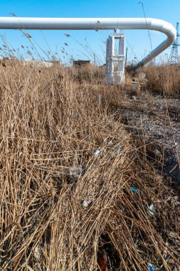 Khadzhibey kıyılarındaki plastik atık ve mikroplastiklerle kirlilik, rezervuarın çevresel sorunu, doğanın kirliliği