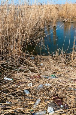 Khadzhibey kıyılarındaki plastik atık ve mikroplastiklerle kirlilik, rezervuarın çevresel sorunu, doğanın kirliliği