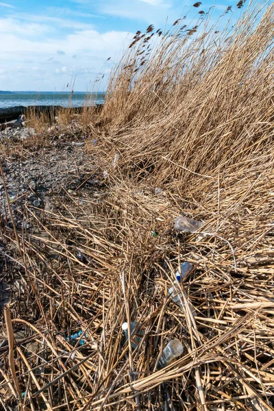 Pollution with plastic waste and microplastics on the shore of the Khadzhibey estuary, environmental problem of the reservoir, pollution of nature