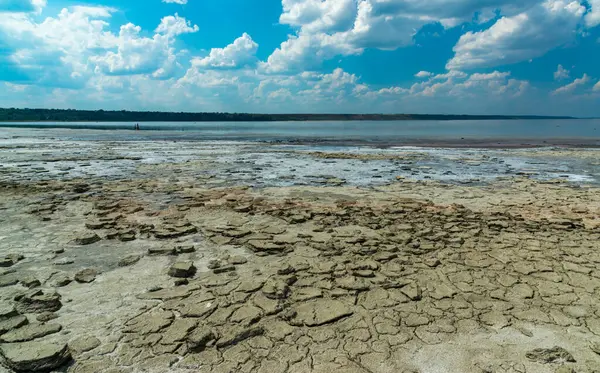 Ukrayna 'nın Odessa bölgesindeki Kuyalnitsky nehrindeki çatlak terapi çamurunda güneşte kurumuş ölü kabuklular Artemia salina.