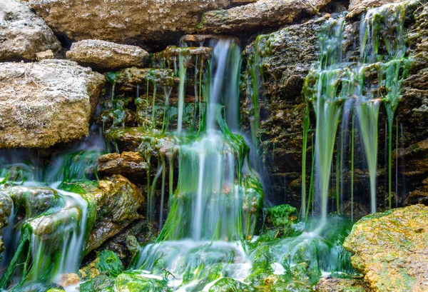 Tatlı su yeşil alglerle kaplı taşların üzerindeki küçük şelale Enteromorpha sp.