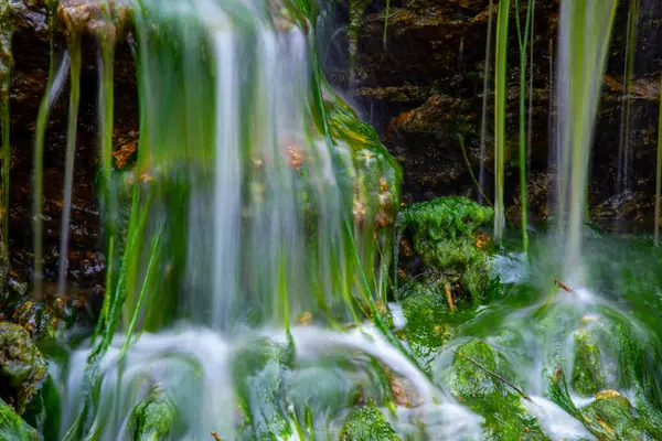 Pequeña Cascada Sobre Piedras Cubiertas Algas Verdes Agua Dulce Enteromorpha —  Fotos de Stock