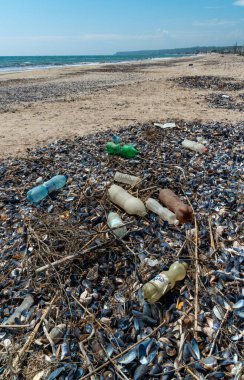 UKRAINE, KOBLEVO - MAYIS 01, 2021: Karadeniz 'e atılan plastik çöp. Mikro plastiklerle deniz kirliliği
