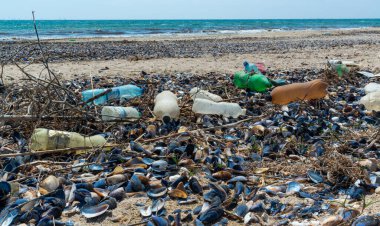 UKRAINE, KOBLEVO - MAYIS 01, 2021: Karadeniz 'e atılan plastik çöp. Mikro plastiklerle deniz kirliliği