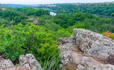 Güney Böcek Nehri kıyısında, Ukrayna 'nın granit kanyonunda eski bir sel yatağı ormanı.