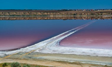 Çiçekli suyu olan tuzlu Kuyalnik haliçleri, suda Artemia salina ve Dunaliella salina. Ukrayna 'da kuruyan bir gölün dibinde kendi kendine yerleşen tuzlu sodyum klorür.