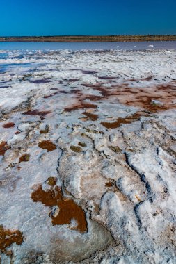 Hyperhale Kuyalnik haliçleri. Ukrayna 'da kuruyan bir rezervuarın dibinde kendi kendine yerleşen tuz sodyum klorür kristalleri (tablo)