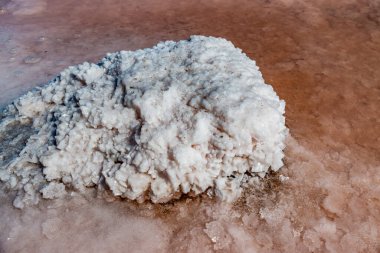 Salt Lake 'de. Kendi kendine yerleşen sodyum klorür tuzu kıyıya yakın kayalarda. Kuruyan bir gölde hipertuzlu su çevresel bir sorundur. Kuyalnik Estuary, Ukrayna