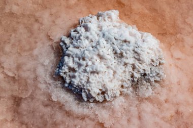 Salt Lake 'de. Kendi kendine yerleşen sodyum klorür tuzu kıyıya yakın kayalarda. Kuruyan bir gölde hipertuzlu su çevresel bir sorundur. Kuyalnik Estuary, Ukrayna