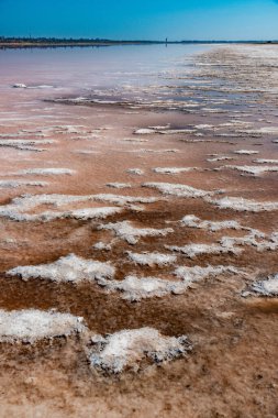 Hyperhale Kuyalnik haliçleri. Ukrayna 'da kuruyan bir rezervuarın dibinde kendi kendine yerleşen tuz sodyum klorür kristalleri (tablo)