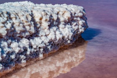 Salt Lake 'de. Kendi kendine yerleşen sodyum klorür tuzu kıyıya yakın kayalarda. Kuruyan bir gölde hipertuzlu su çevresel bir sorundur. Kuyalnik Estuary, Ukrayna