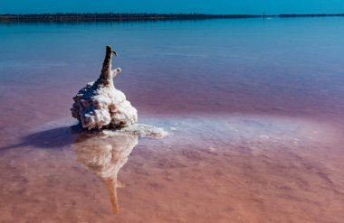 Salt Lake 'de. Ahşap kütüklere kendi kendine yerleşen tuz. Kuruyan bir gölde hipertuzlu su, çevresel bir sorun. Karadeniz, Ukrayna