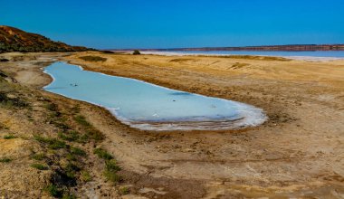 Hyperhale Kuyalnik haliçleri. Ukrayna 'da bir gölün kıyısında tuzlu bir kıyı gölü.
