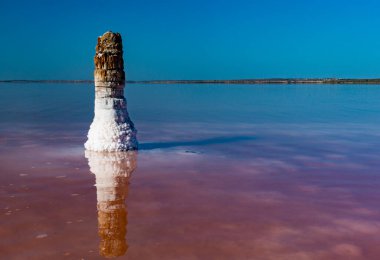 Salt Lake 'de. Ahşap kütüklere kendi kendine yerleşen tuz. Kuruyan bir gölde hipertuzlu su, çevresel bir sorun. Karadeniz, Ukrayna