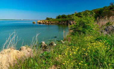 Güney Ukrayna 'daki Khadzhibey nehrinin kıyısındaki doğal bahar bozkırları.