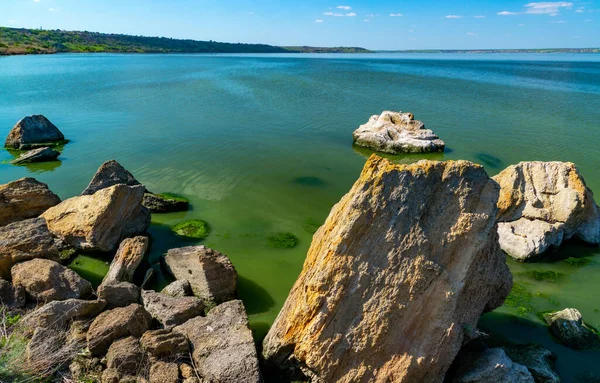Eutrophication Khadzhibey Estuary Blooms Water Blue Green Algae Microcystis Aeruginosa — Stock Photo, Image