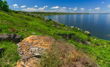 Güney Ukrayna 'daki Khadzhibey nehrinin kıyısındaki doğal bahar bozkırları.