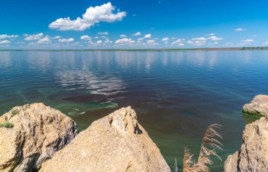 Khadzhibey haliçlerinin ötrofikasyonu, mavi-yeşil alglerin sularında çiçek açması mikrostis aeruginosa ve yeşil alg Enteromorpha sp 'un kitlesel gelişimi..