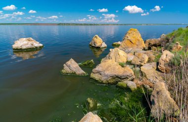 Khadzhibey haliçlerinin ötrofikasyonu, mavi-yeşil alglerin sularında çiçek açması mikrostis aeruginosa ve yeşil alg Enteromorpha sp 'un kitlesel gelişimi..