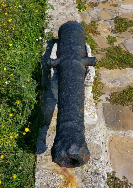 Bulgaria Sozopol August 2014 Ancient Iron Cannon Raised Water Black — Stock Photo, Image