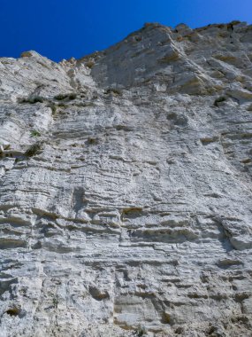 Bulgaristan 'ın Sozopol kenti yakınlarındaki Karadeniz kıyısındaki beyaz kabuklu kayadan oluşan dikey yüksek kaya