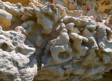 Bulgaristan 'ın Kaliakra Burnu' nun karbonat tortulu kayaları, kabuk kayaları