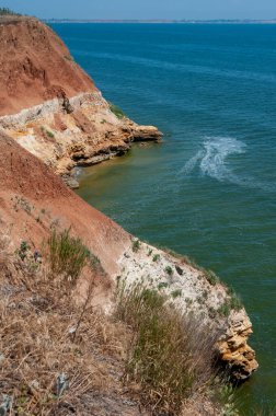 Ukrayna 'nın Berezan adasında yaban bozkır bitkileriyle kaplı dik kayalık ve kabuklu kaya kıyıları.