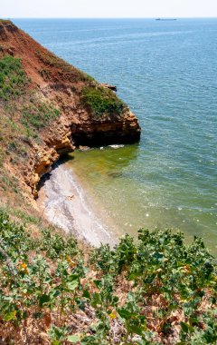 Ukrayna 'nın Berezan adasında yaban bozkır bitkileriyle kaplı dik kayalık ve kabuklu kaya kıyıları.