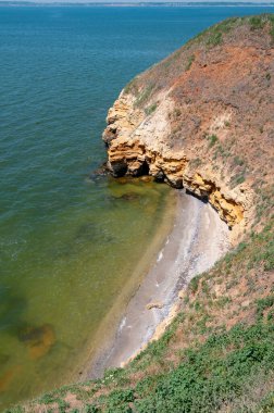 Ukrayna 'nın Berezan adasında yaban bozkır bitkileriyle kaplı dik kayalık ve kabuklu kaya kıyıları.