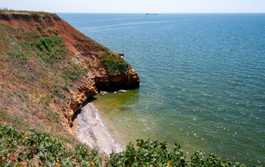 Ukrayna 'nın Berezan adasında yaban bozkır bitkileriyle kaplı dik kayalık ve kabuklu kaya kıyıları.