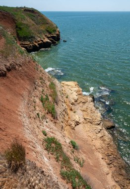 Ukrayna 'nın Berezan adasında yaban bozkır bitkileriyle kaplı dik kayalık ve kabuklu kaya kıyıları.