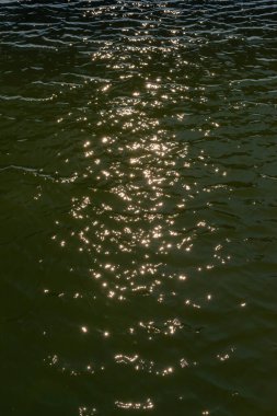 Güneşin yansıması ve Ukrayna 'daki Tiligul haliç kanalının suyunda parlıyor.