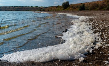 Çevresel problem ve kirlilik, doğal bir rezervuarın ötrofikasyonu, kıyıda kirli köpük, Tiligul haliçleri