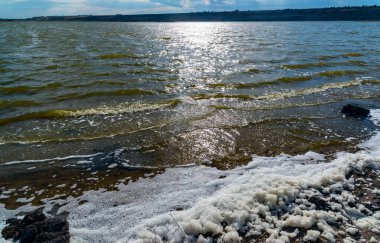Çevresel problem ve kirlilik, doğal bir rezervuarın ötrofikasyonu, kıyıda kirli köpük, Tiligul haliçleri