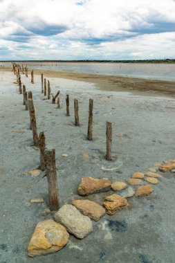 Salt Lake 'de. Ahşap kütüklere kendi kendine yerleşen tuz. Kuruyan bir gölde hipertuzlu su, çevresel bir sorun. Ukrayna