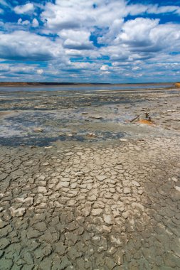 Ukrayna 'nın Odessa bölgesindeki Kuyalnik nehrinin kıyısında kurumuş ve çatlamış ölü kabuklu deniz hayvanı Artemia salina ve sarı yumurtaları.