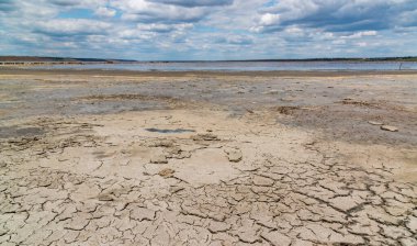 Ukrayna 'nın Odessa bölgesindeki Kuyalnik nehrinin kıyısında kurumuş ve çatlamış ölü kabuklu deniz hayvanı Artemia salina ve sarı yumurtaları.