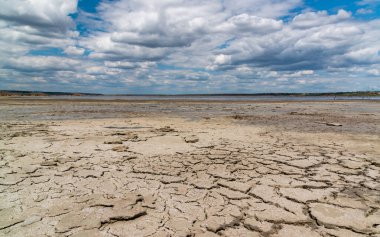 Ukrayna 'nın Odessa bölgesindeki Kuyalnik nehrinin kıyısında kurumuş ve çatlamış ölü kabuklu deniz hayvanı Artemia salina ve sarı yumurtaları.