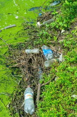 UKRAINE, ODESSA-MAYIS 30, 2023: Yüzen ördek otu ve Kurtadam bitkileriyle kaplanmış bir gölette yüzen çöpler, Odessa Ukrayna