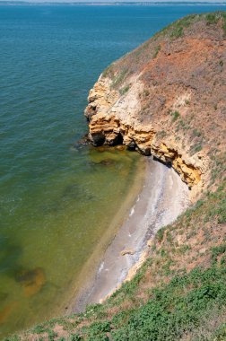 Ukrayna 'nın Berezan adasında yaban bozkır bitkileriyle kaplı dik kayalık ve kabuklu kaya kıyıları.