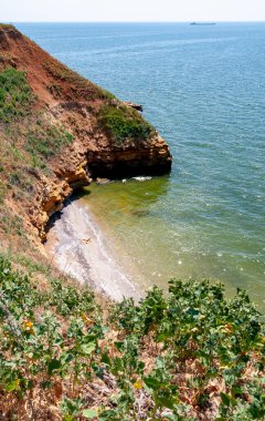 Ukrayna 'nın Berezan adasında yaban bozkır bitkileriyle kaplı dik kayalık ve kabuklu kaya kıyıları.