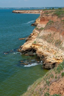 Ukrayna 'nın Berezan adasında yaban bozkır bitkileriyle kaplı dik kayalık ve kabuklu kaya kıyıları.