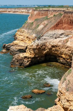 Ukrayna 'nın Berezan adasında yaban bozkır bitkileriyle kaplı dik kayalık ve kabuklu kaya kıyıları.