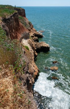 Ukrayna 'nın Berezan adasında yaban bozkır bitkileriyle kaplı dik kayalık ve kabuklu kaya kıyıları.